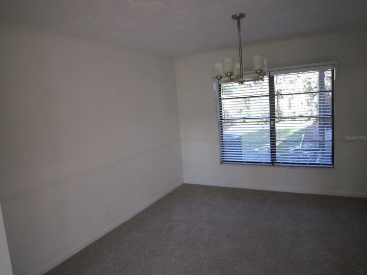 Property Photo: 4118 Dellbrook Drive FL 33624