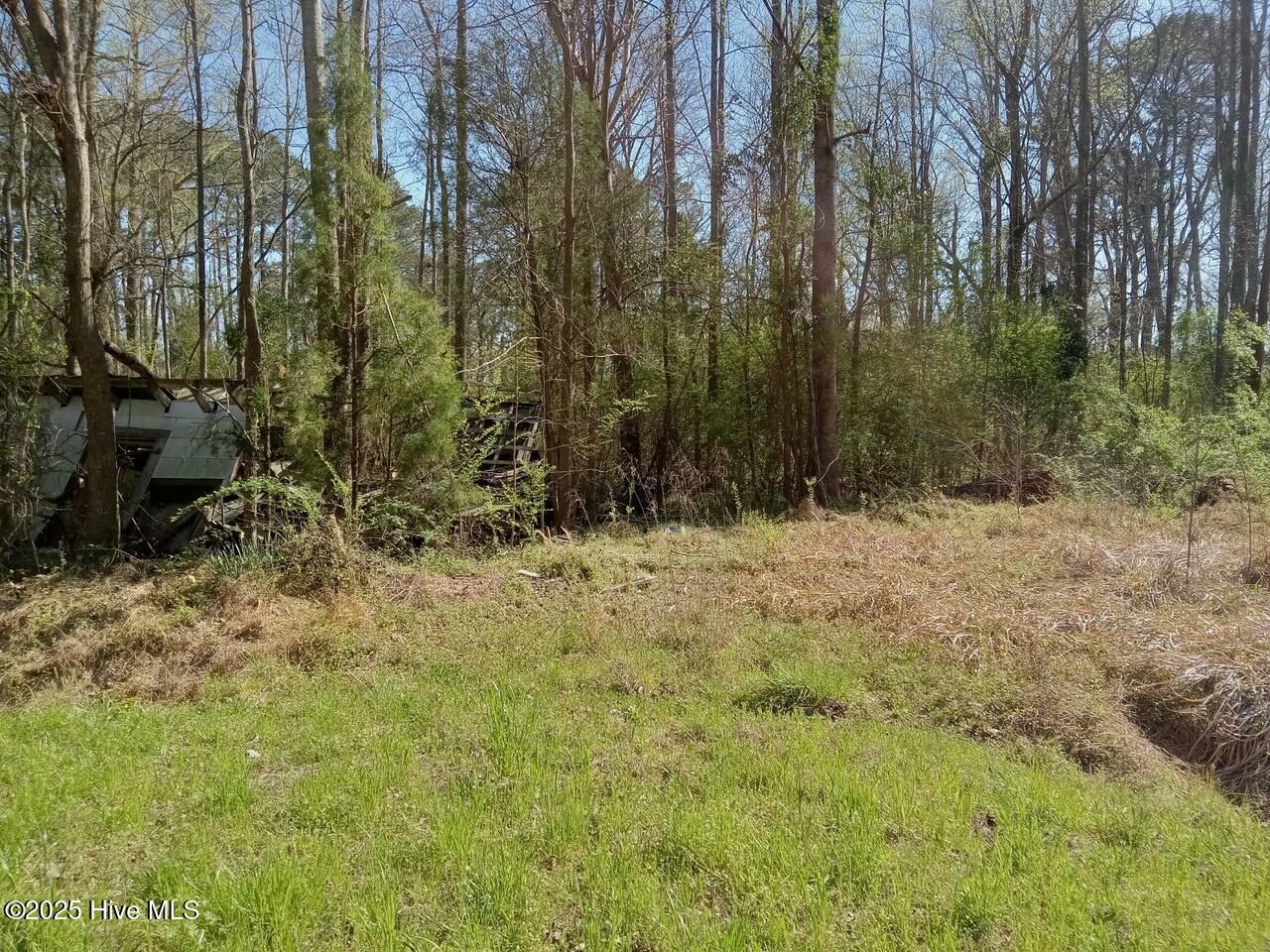 Property Photo: 0 SR 1916 &Amp 1917 NC 27806