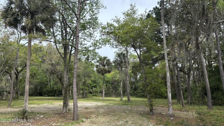 Property Photo:  137 Walter Way  FL 32082 
