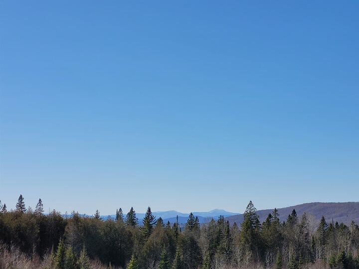 Property Photo:  210 Cow Hill Road  VT 05873 