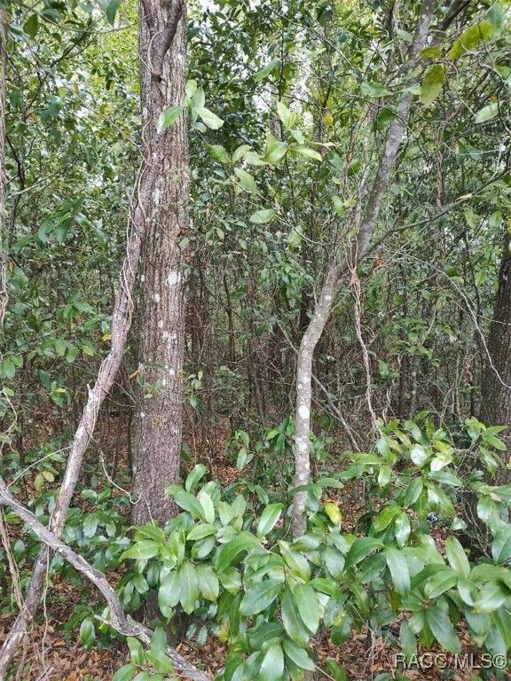 Property Photo: 3665 S Diamond Avenue FL 34452