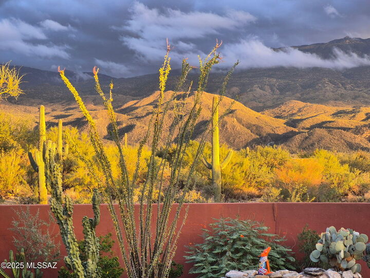 2315 N Avenida Sorgo  Tucson AZ 85749 photo