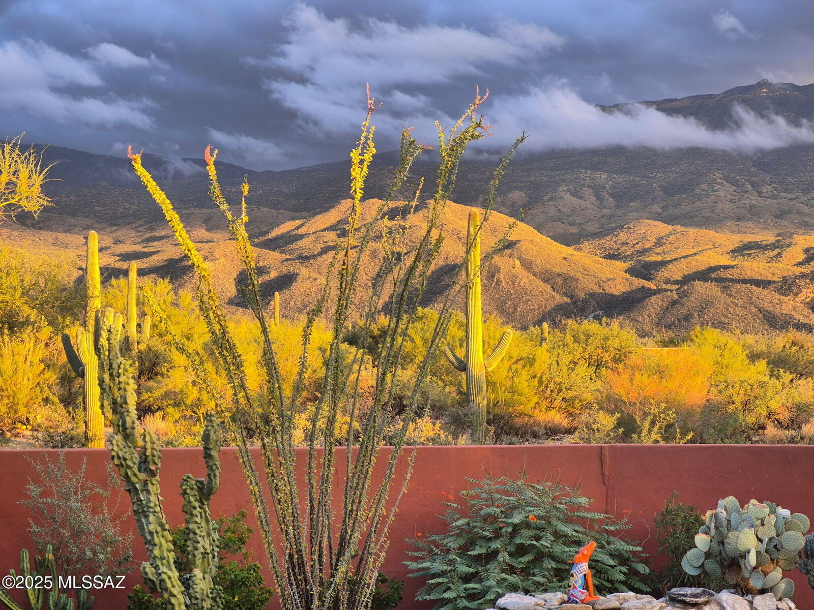 Property Photo: 2315 N Avenida Sorgo AZ 85749