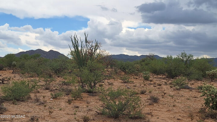 Property Photo: 15879 W Bolo Place 247 AZ 85736