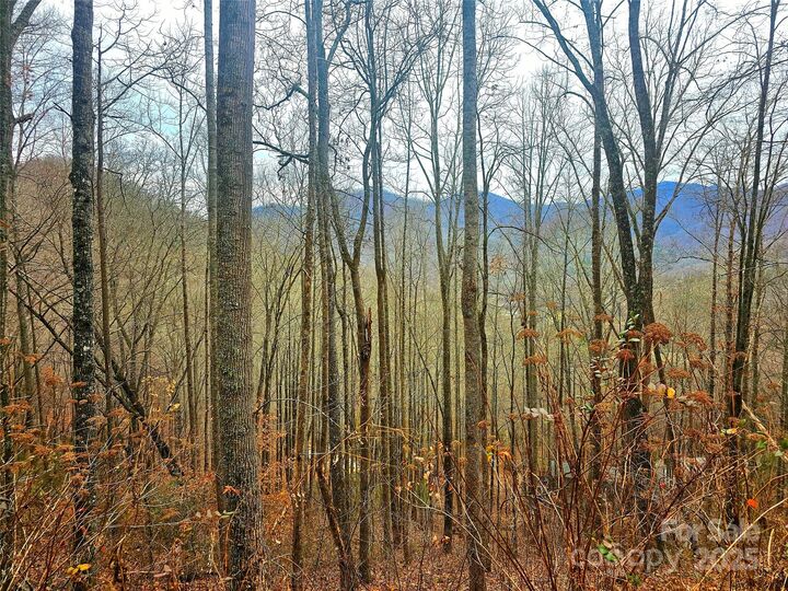 Property Photo: 21 Long Winding Road 4,5,7,11,12,14,15 NC 28779