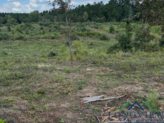 Property Photo:  9133 Cr 817  TX 75964-0000 