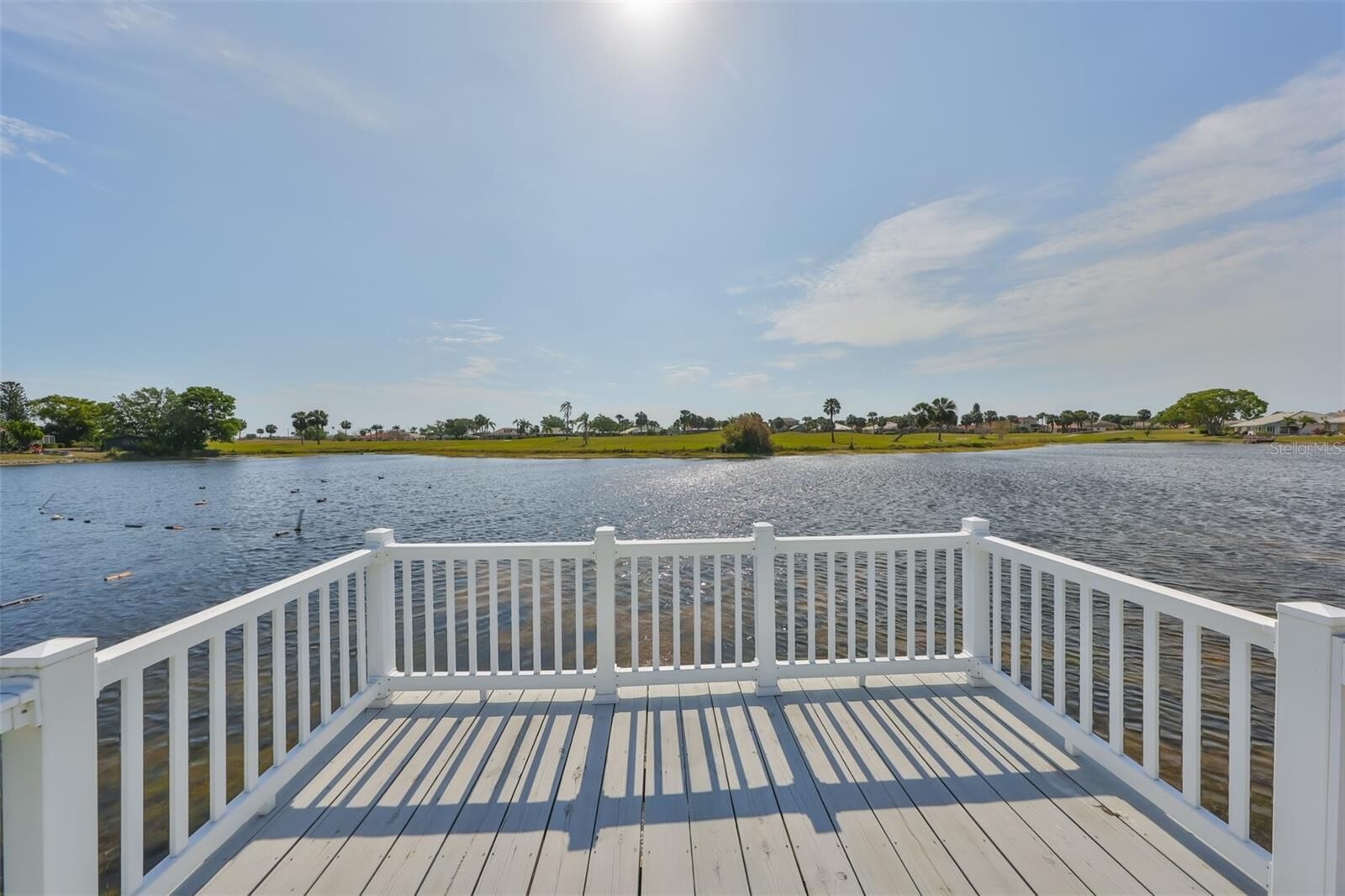 Property Photo:  1806 Wolf Laurel Drive  FL 33573 