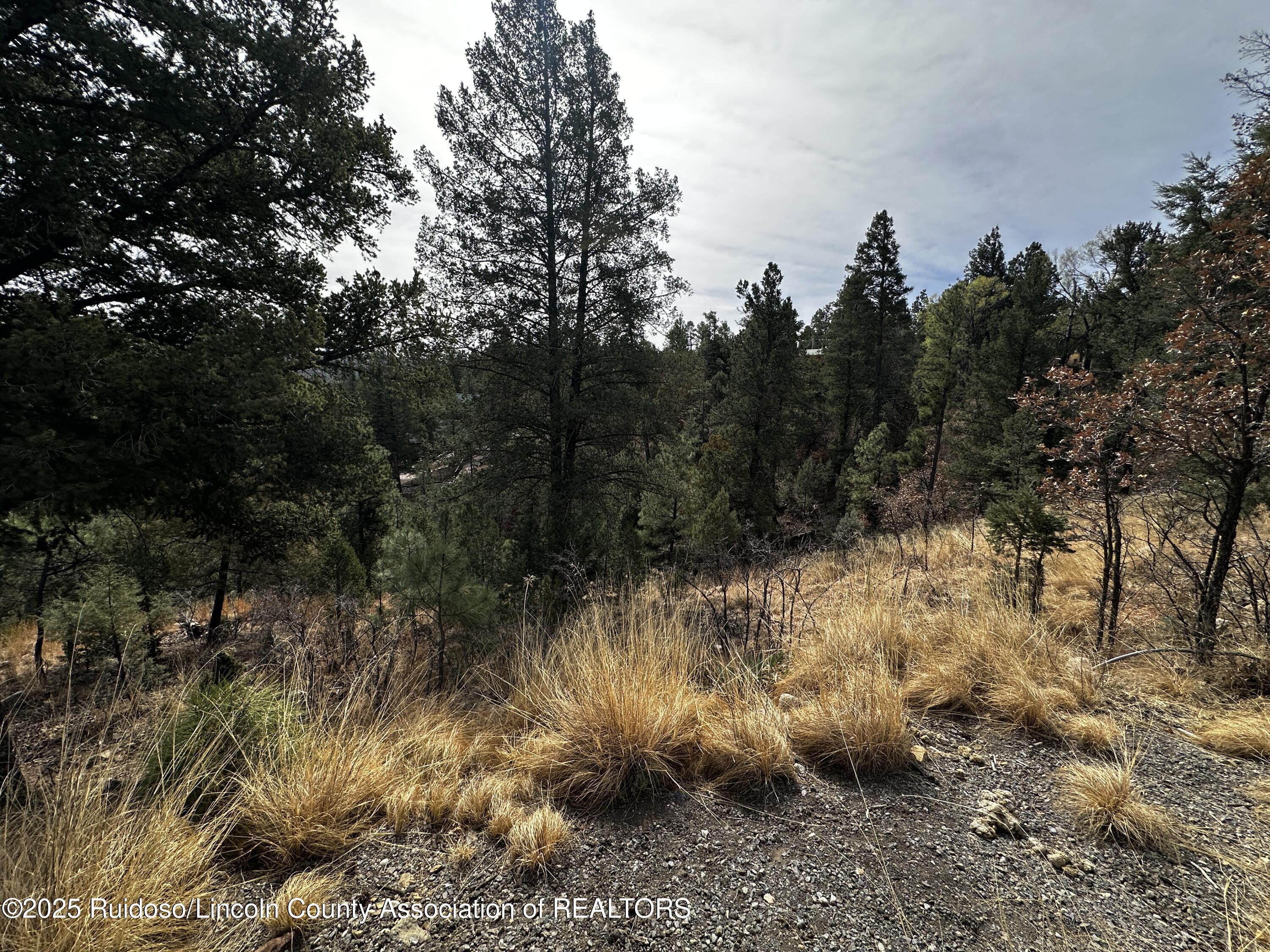 Property Photo:  110 Nopal Lane  NM 88345 
