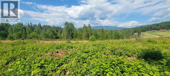 Dl 2620 Yellowhead Highway Lot 1 — photo 1