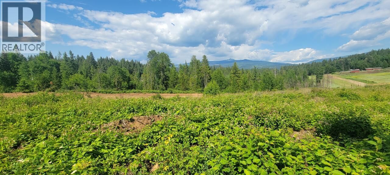 Property Photo:  Dl 2620 Yellowhead Highway Lot 1  BC V0E 1N1 