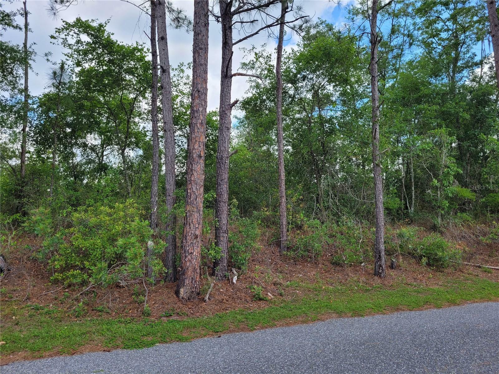 Property Photo: Tbd County Road 18 FL 32038