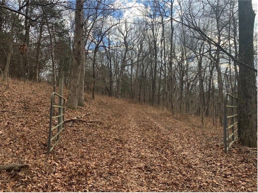 Property Photo:  14710 Summer Shade Road  AR 72774 