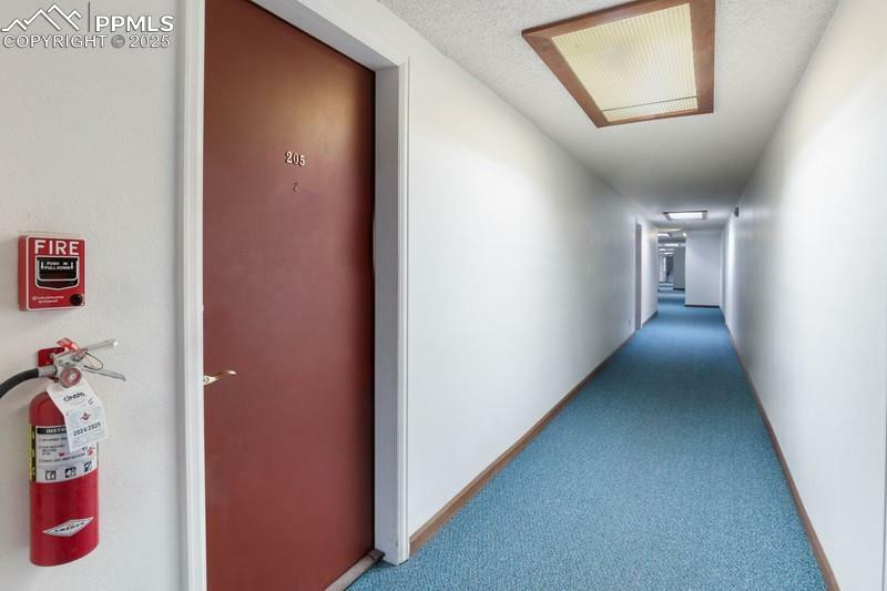 Property Photo: 2430 Palmer Park Boulevard E2 CO 80909