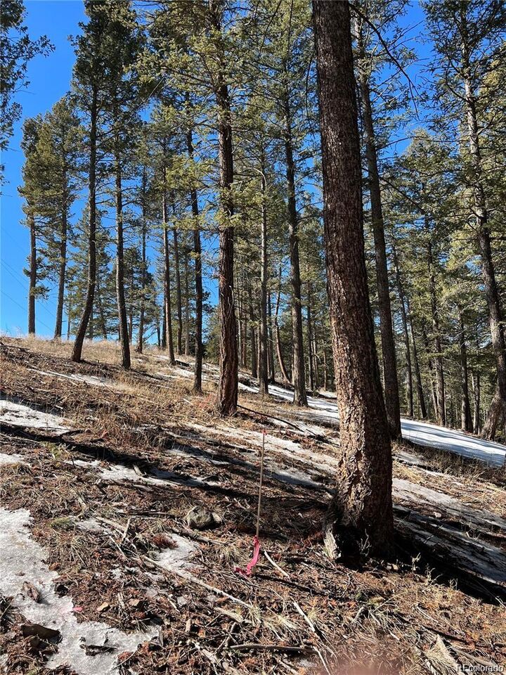 Property Photo:  7871 Gold Rush  CO 80465 