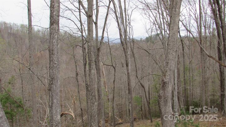 Property Photo: #74 Falling Water Drive NC 28740