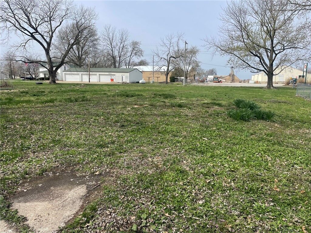 Property Photo:  217 N Vine Street  IL 62463 