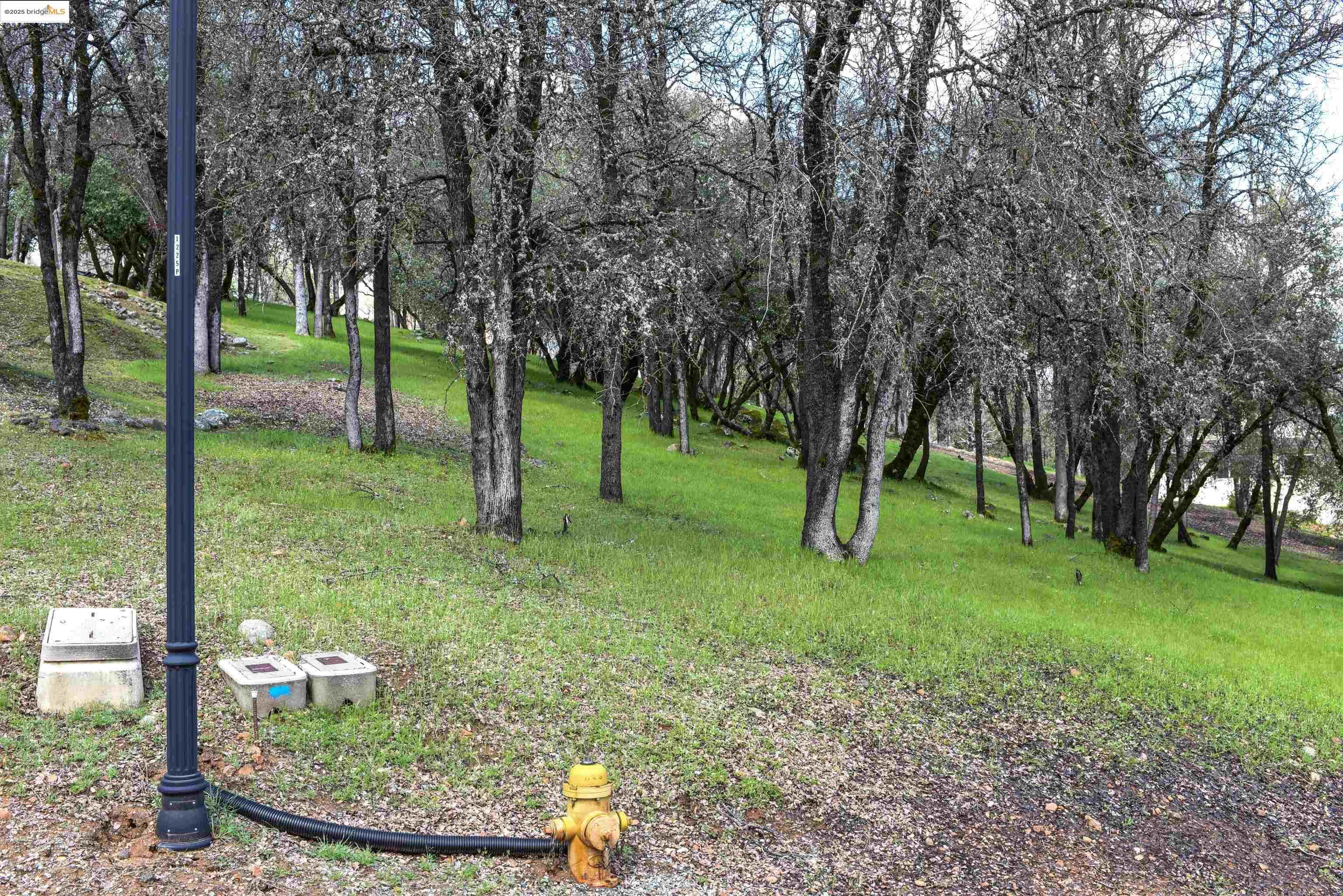 Property Photo: 19077 Apple Valley Dr. CA 95370