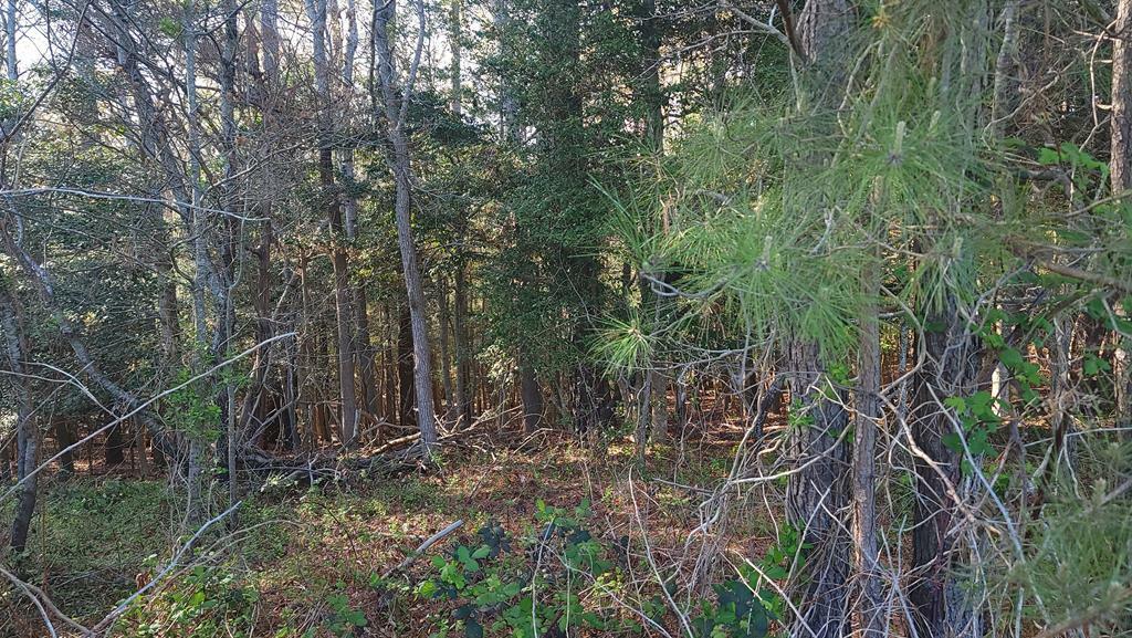 Property Photo: Lot 7 Liberty Dr VA 23407