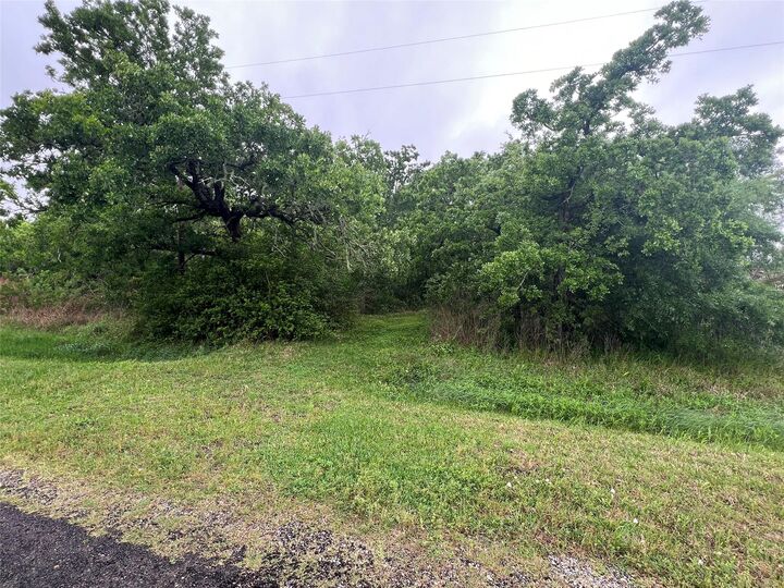 Property Photo:  0 S Shady Glen Drive  TX 77514 
