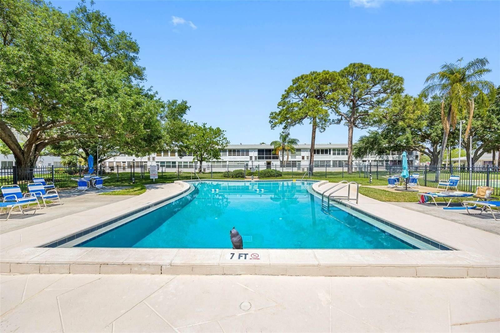 Property Photo: 1000 79th Avenue N 211 FL 33702