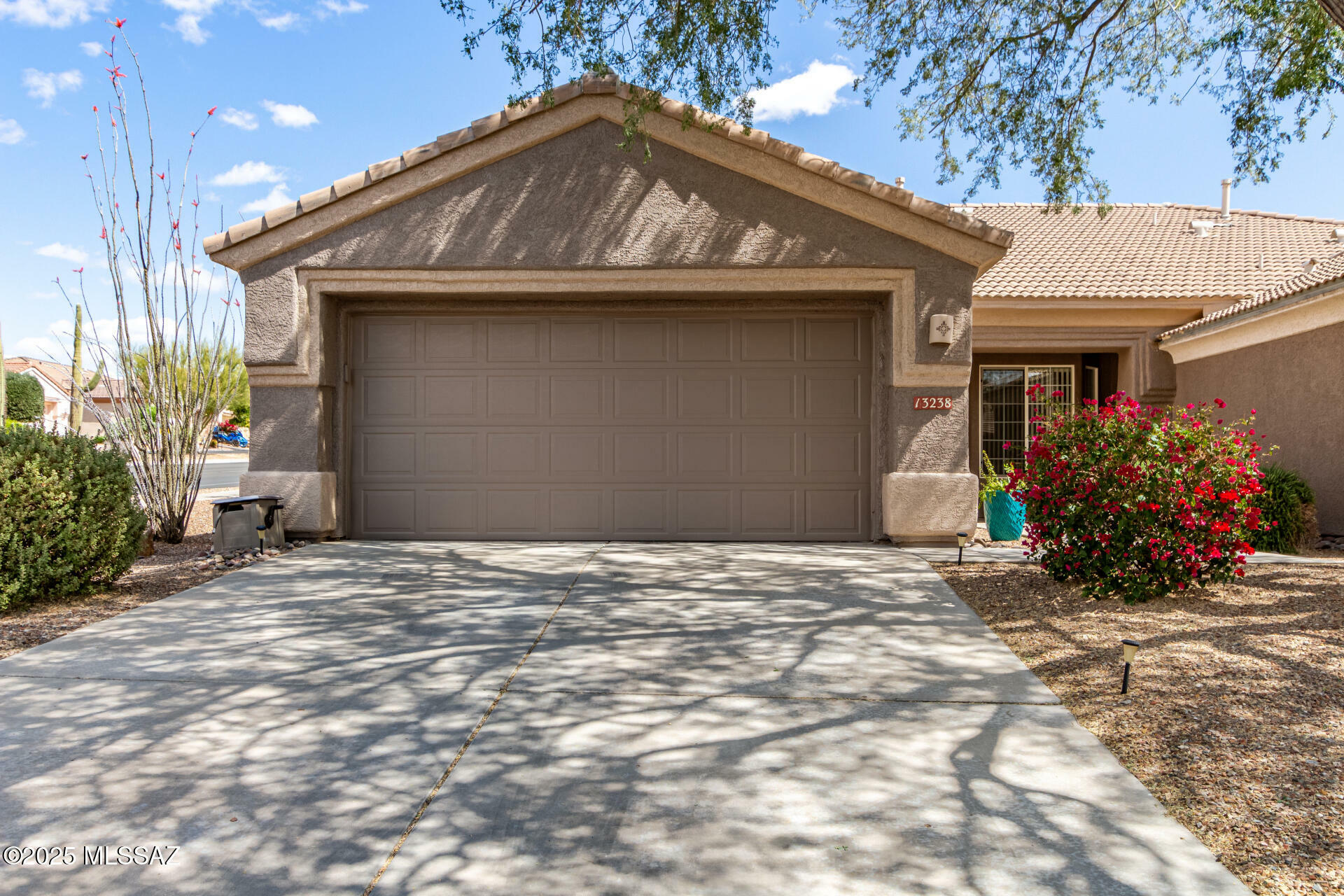 Property Photo: 13238 N Silver Cholla Place AZ 85658