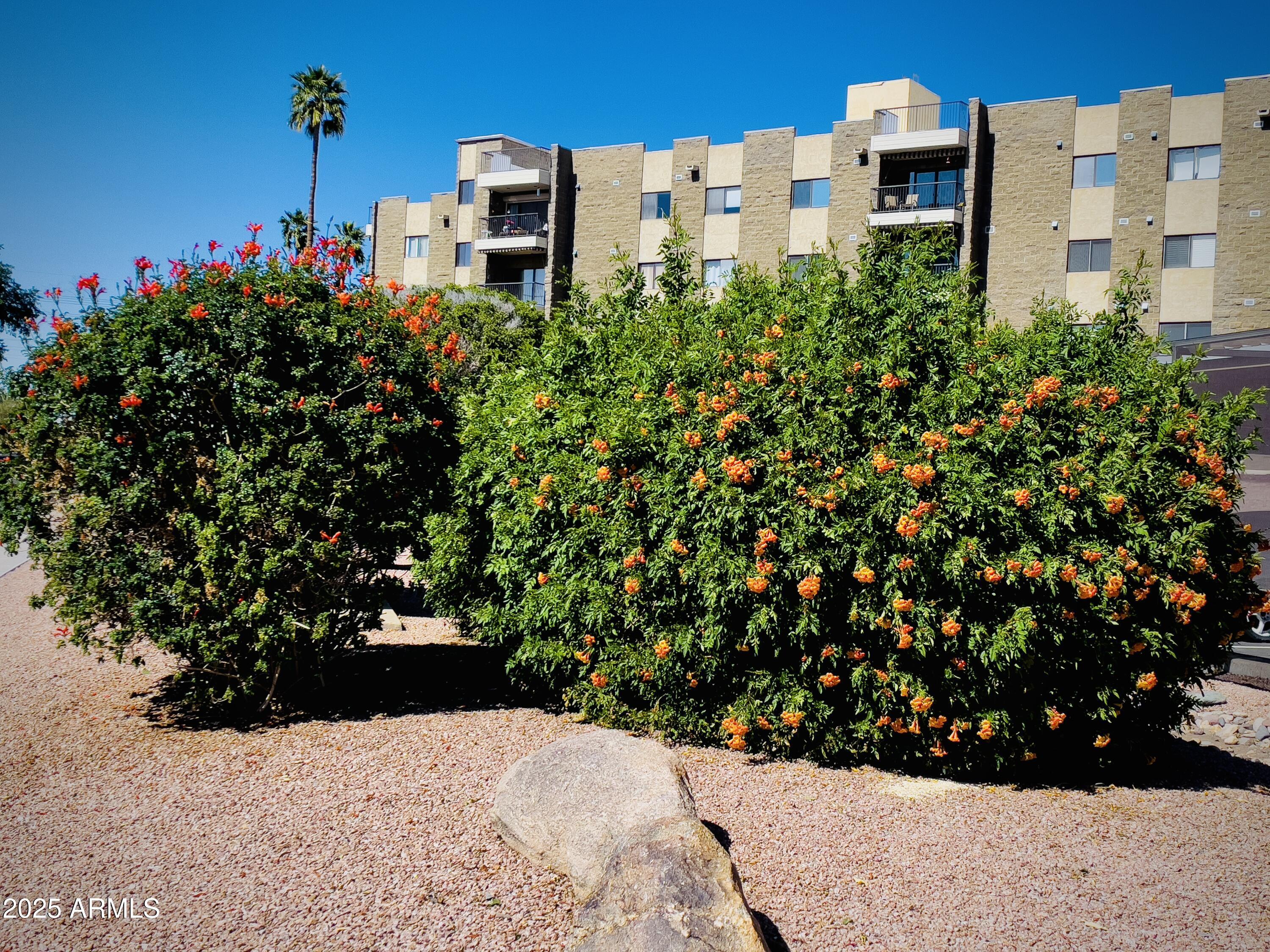 Property Photo: 425 S Parkcrest -- 335 AZ 85206
