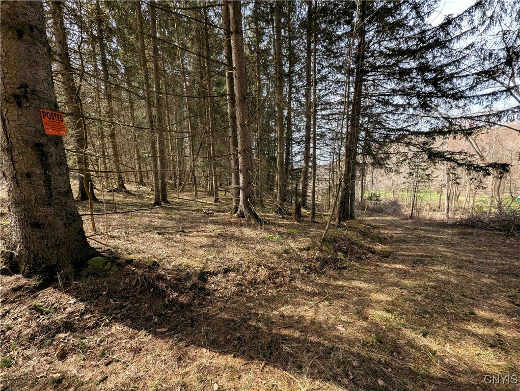 Property Photo: Ryan Hollow Road NY 14826