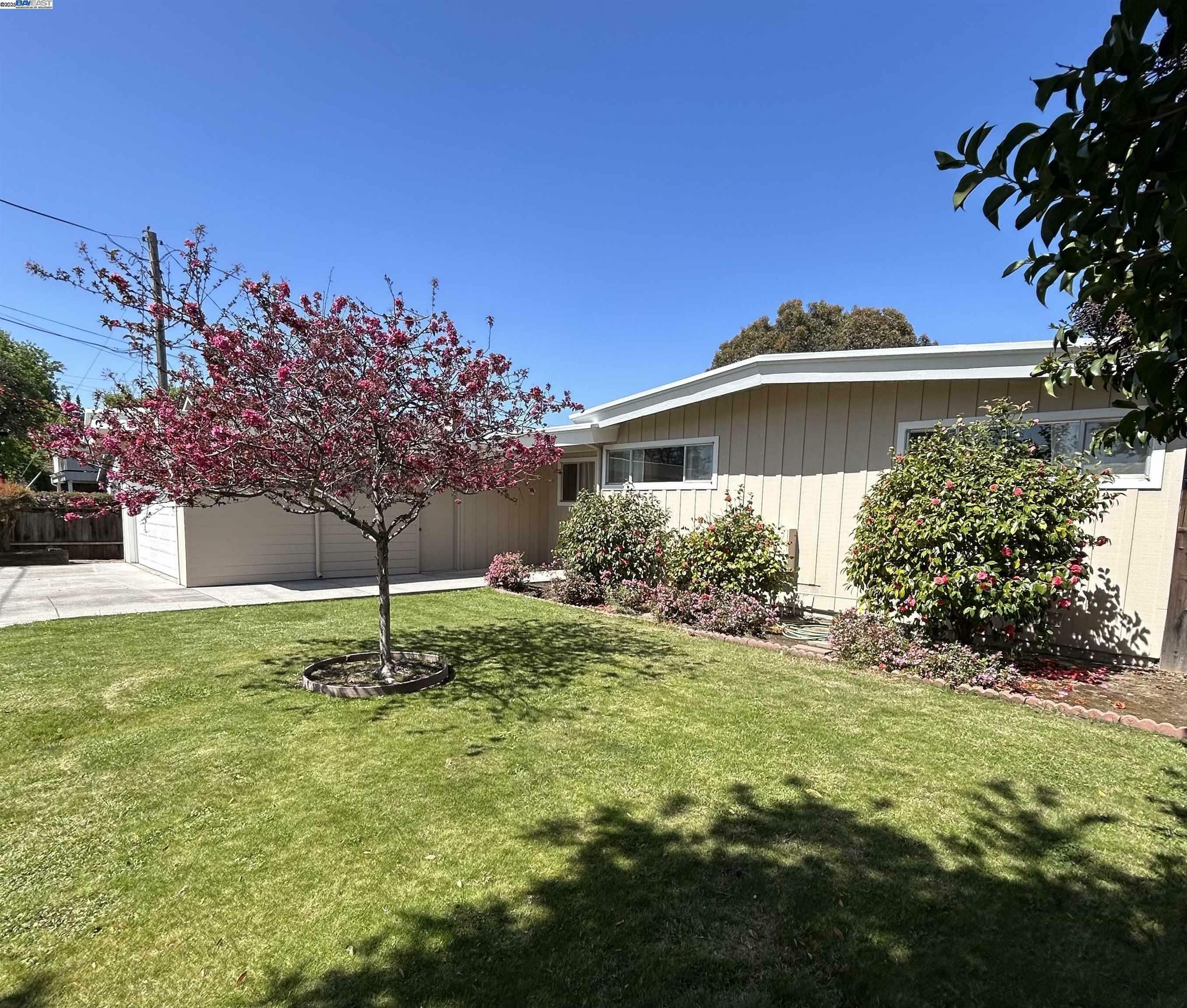 Property Photo: 449 Walnut Ave CA 94536