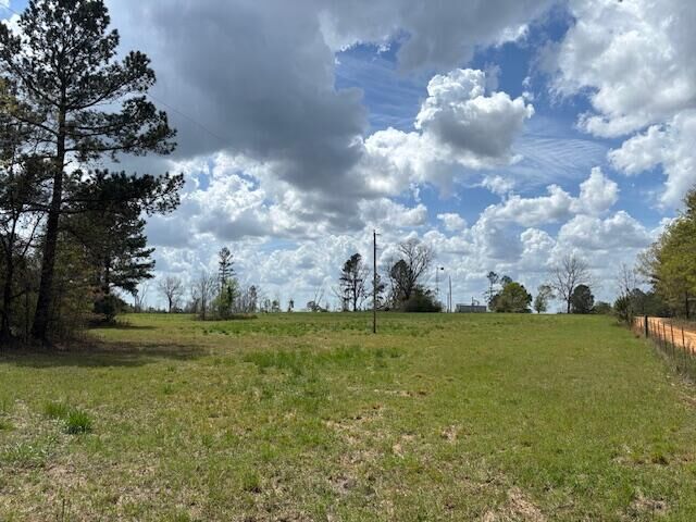 0 Blume Road  Mitchell GA 30820 photo