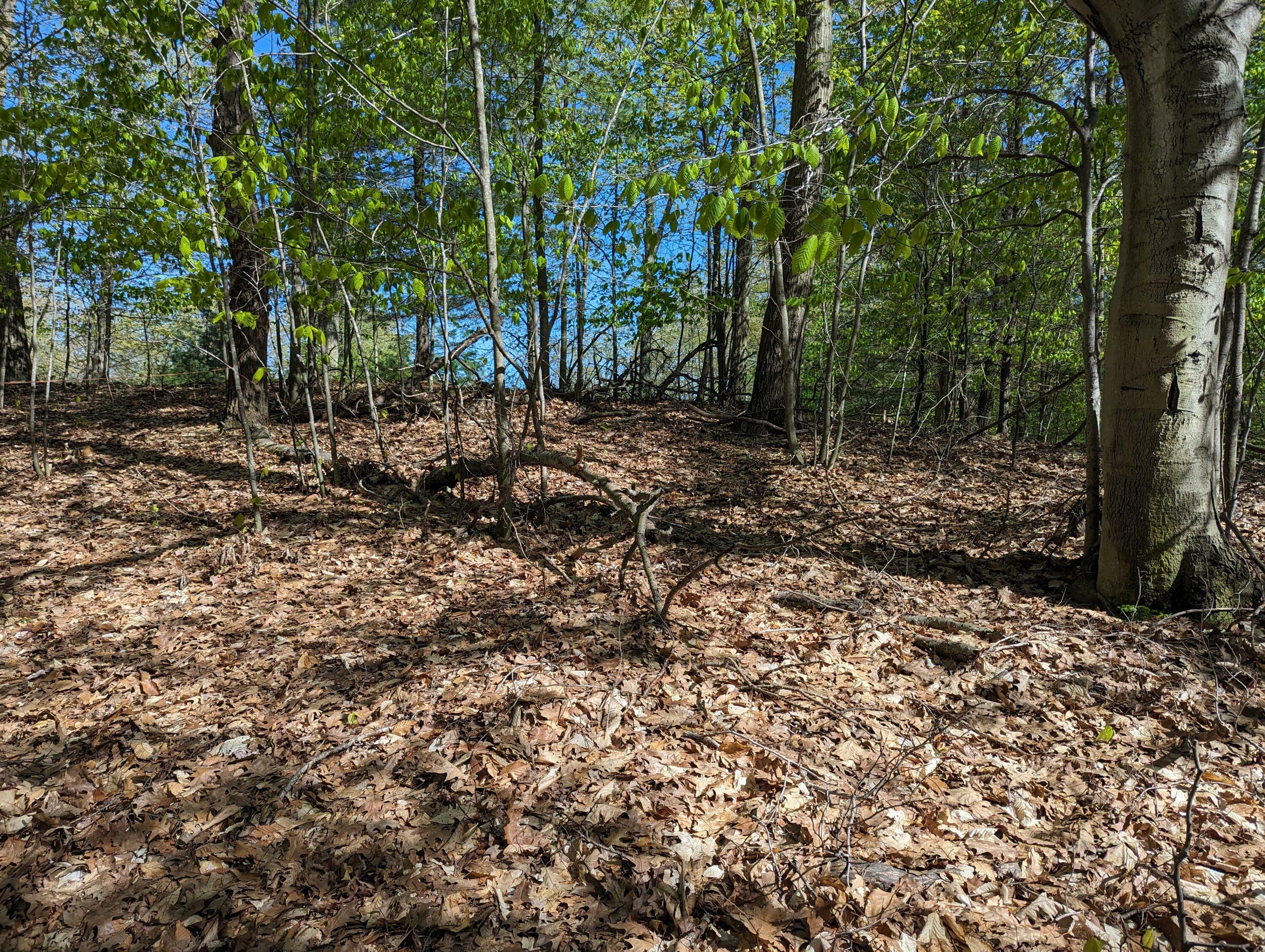 Lot 39 Novadoc Boulevard  Mears MI 49436 photo