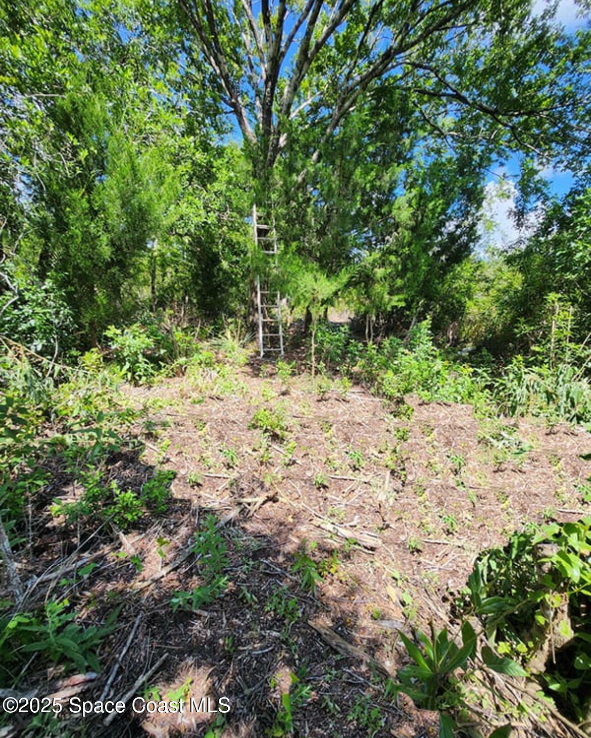 Property Photo:  2801 Satellite Boulevard  FL 32926 