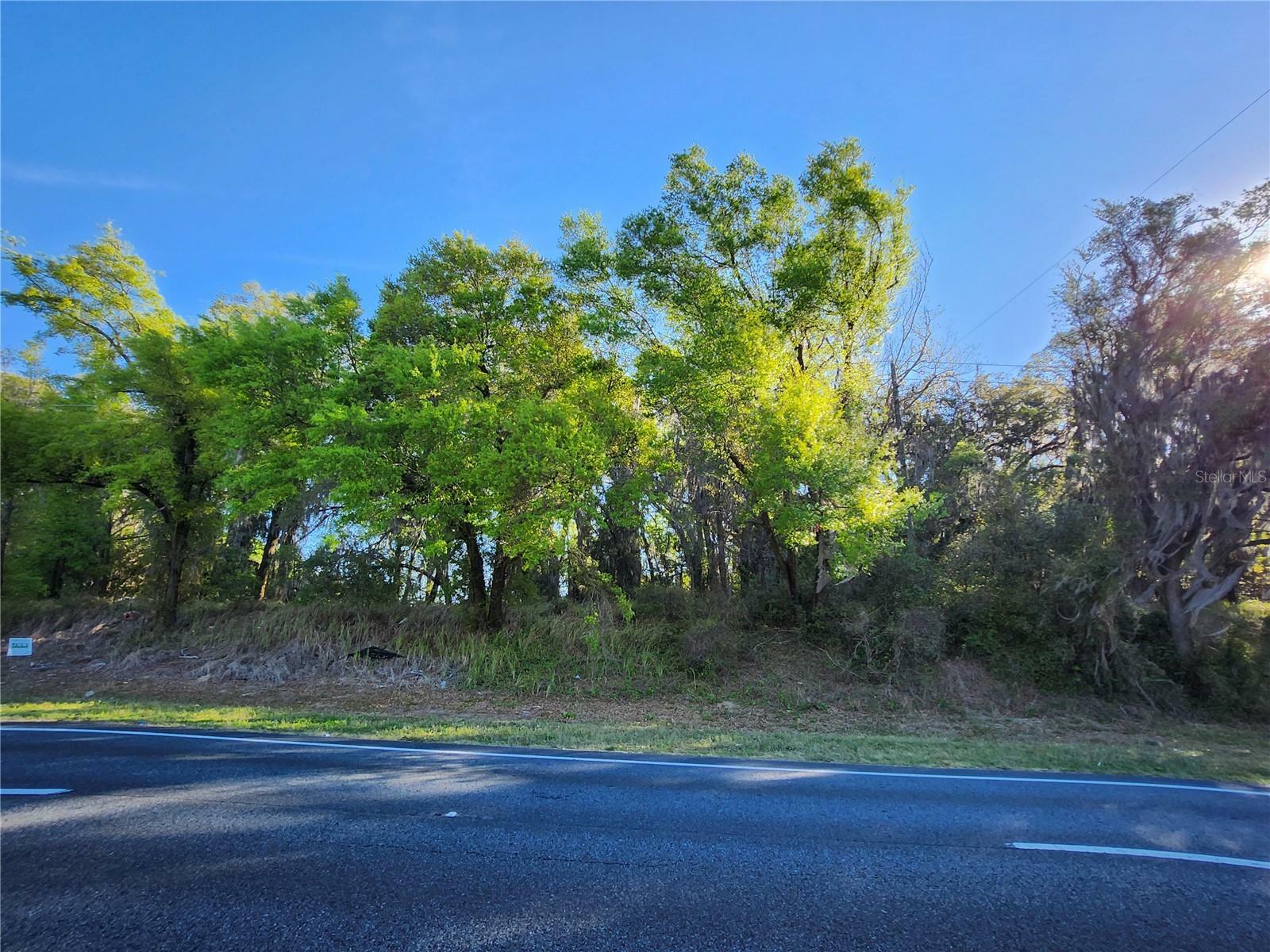 Property Photo:  Tbd US Hwy 441/27  FL 34491 