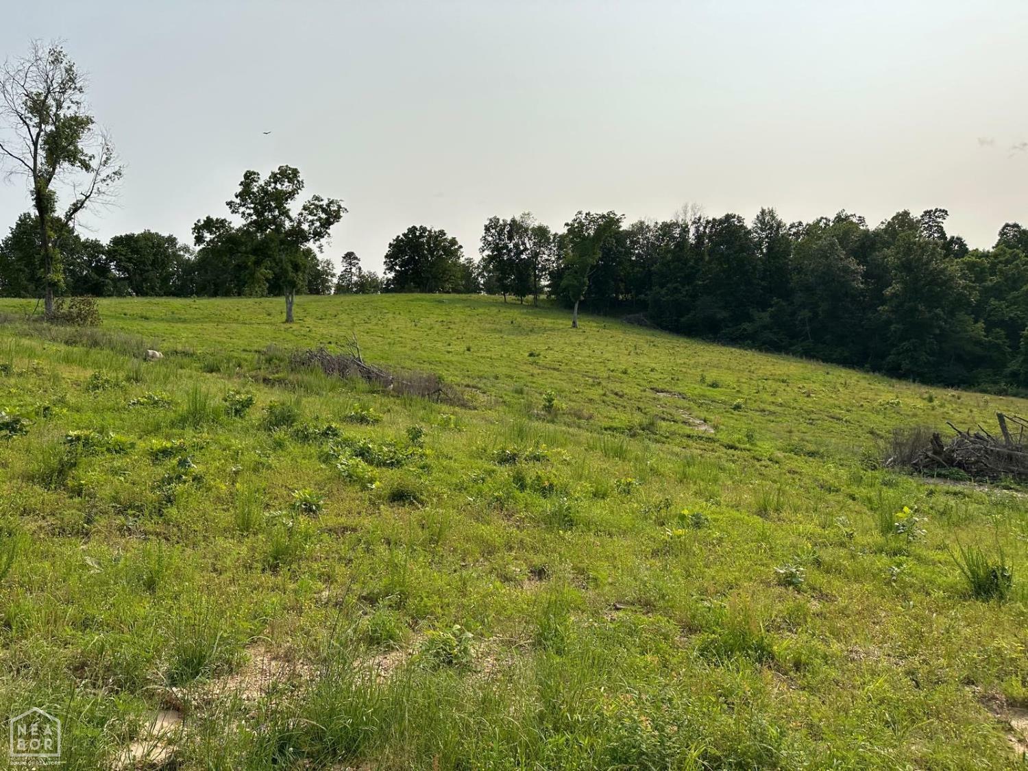 1 Mc 5014  Yellville AR 72633 photo