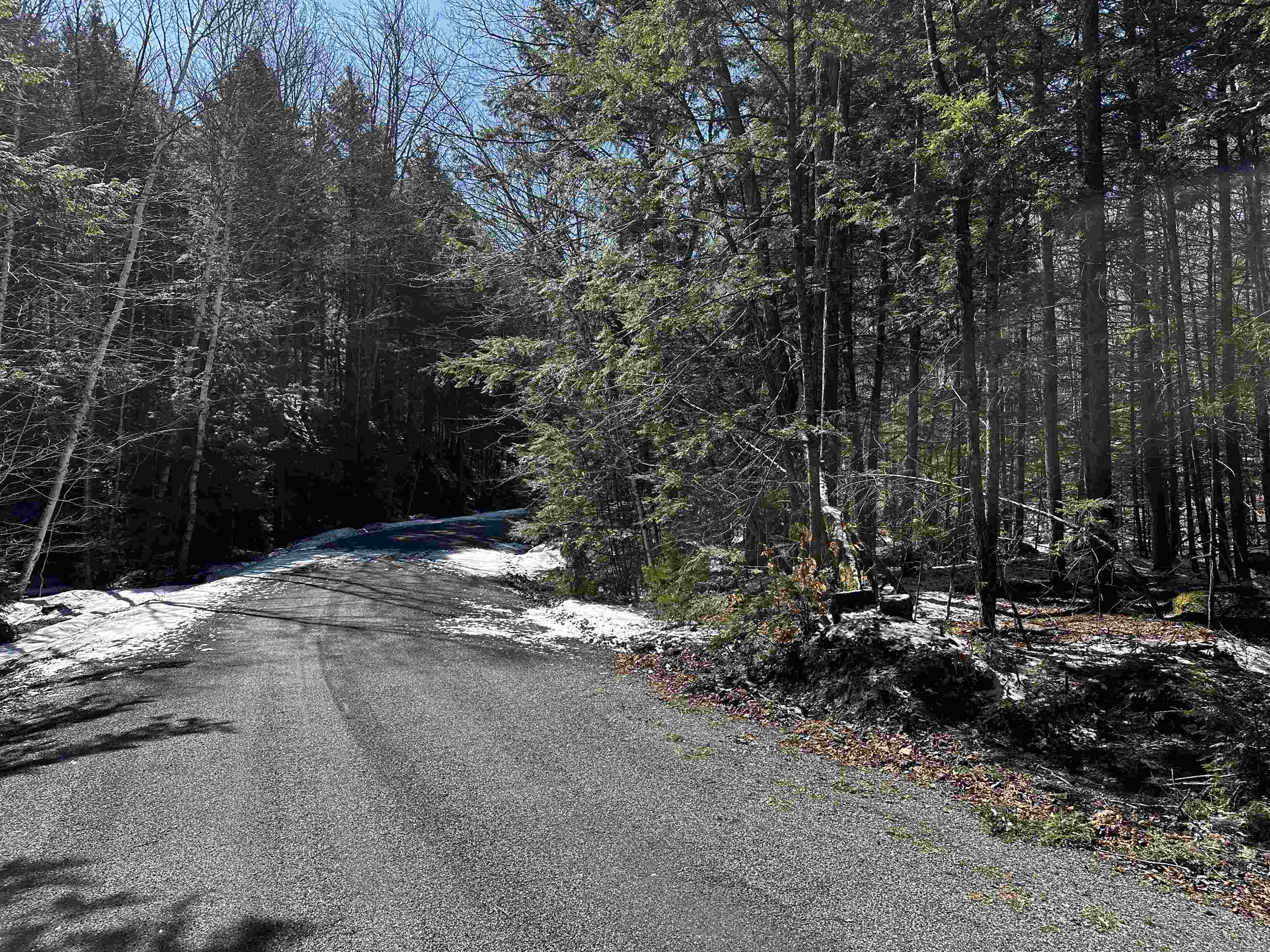 Property Photo:  119 Pauls Place  NH 03748 