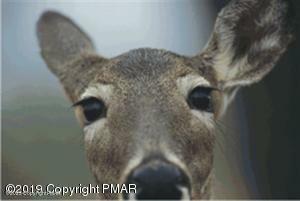 Property Photo:  .96 Acres Sterling Circle  PA 18324 