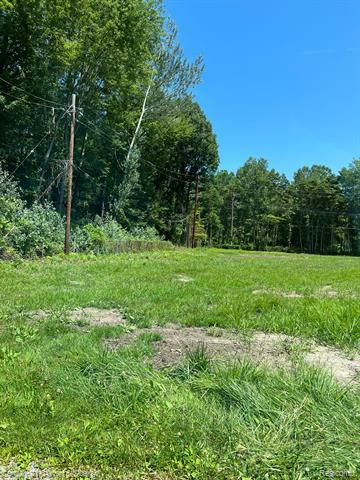 Property Photo:  6505 Dexter Street  MI 48174 