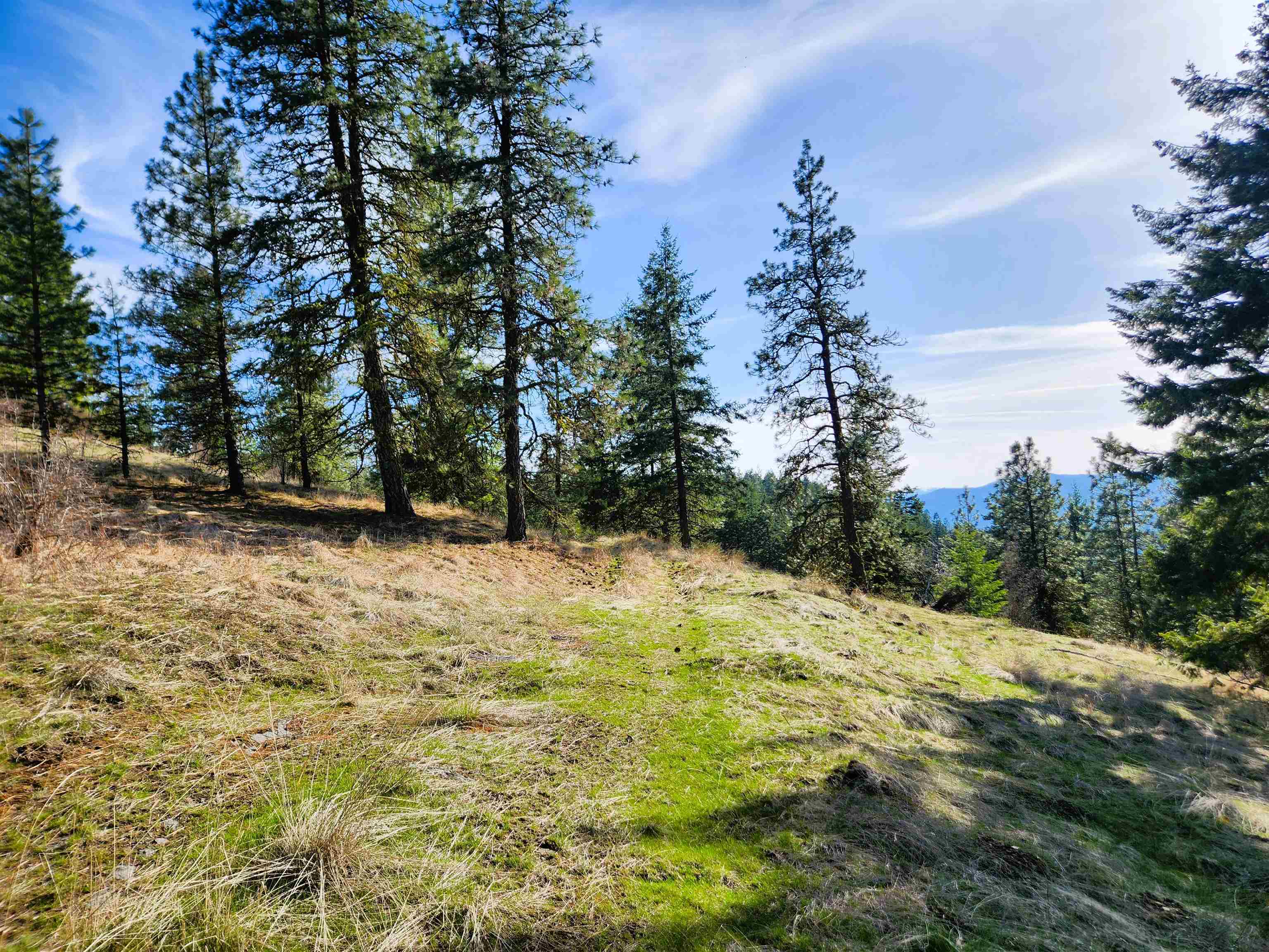Property Photo: 4021 Bissell Rd WA 99137