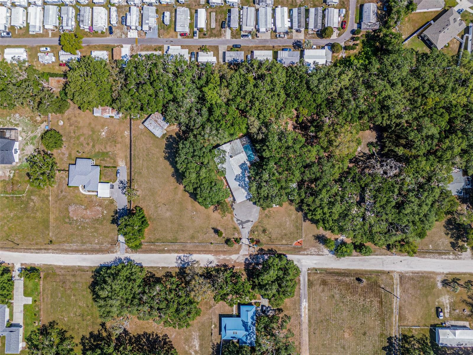 Property Photo: 34651 Appaloosa Trail FL 33541