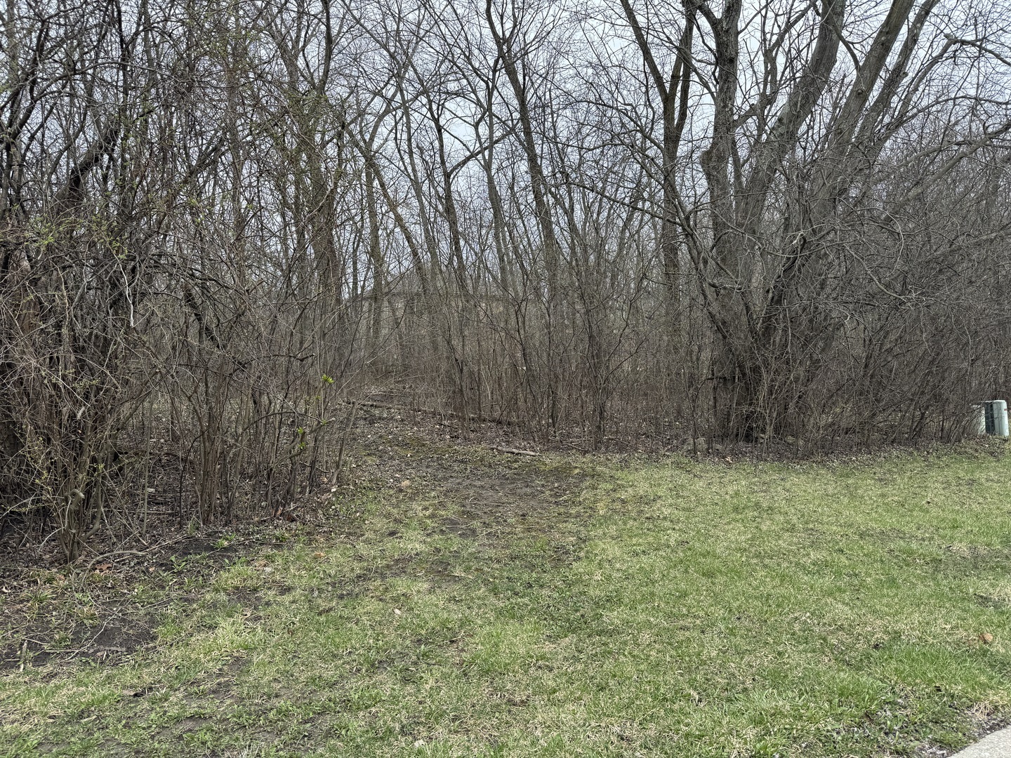 879 Campbell Avenue - Lot 007  Chicago Heights IL 60411 photo