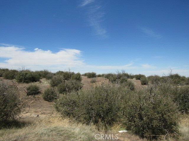 Property Photo: 0 Buttemere Road CA 92371