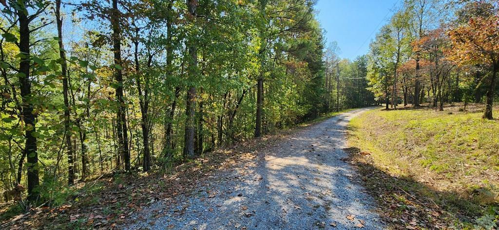 Property Photo: Lot 1699 Shade Tree Drive GA 30175