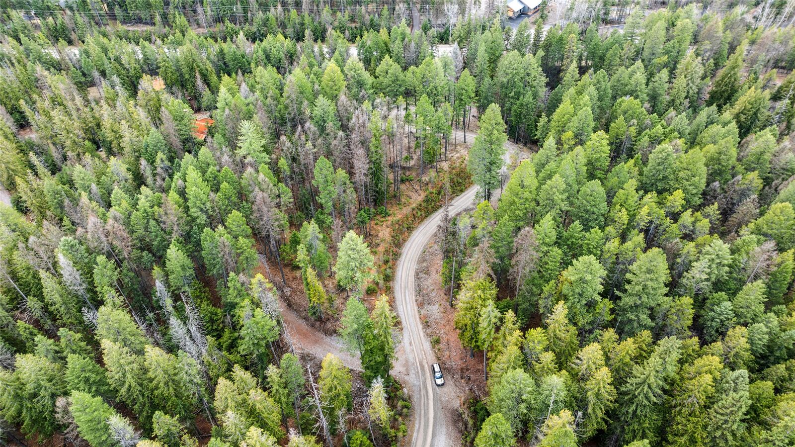 Property Photo:  2521 E Lakeshore Drive  MT 59937 