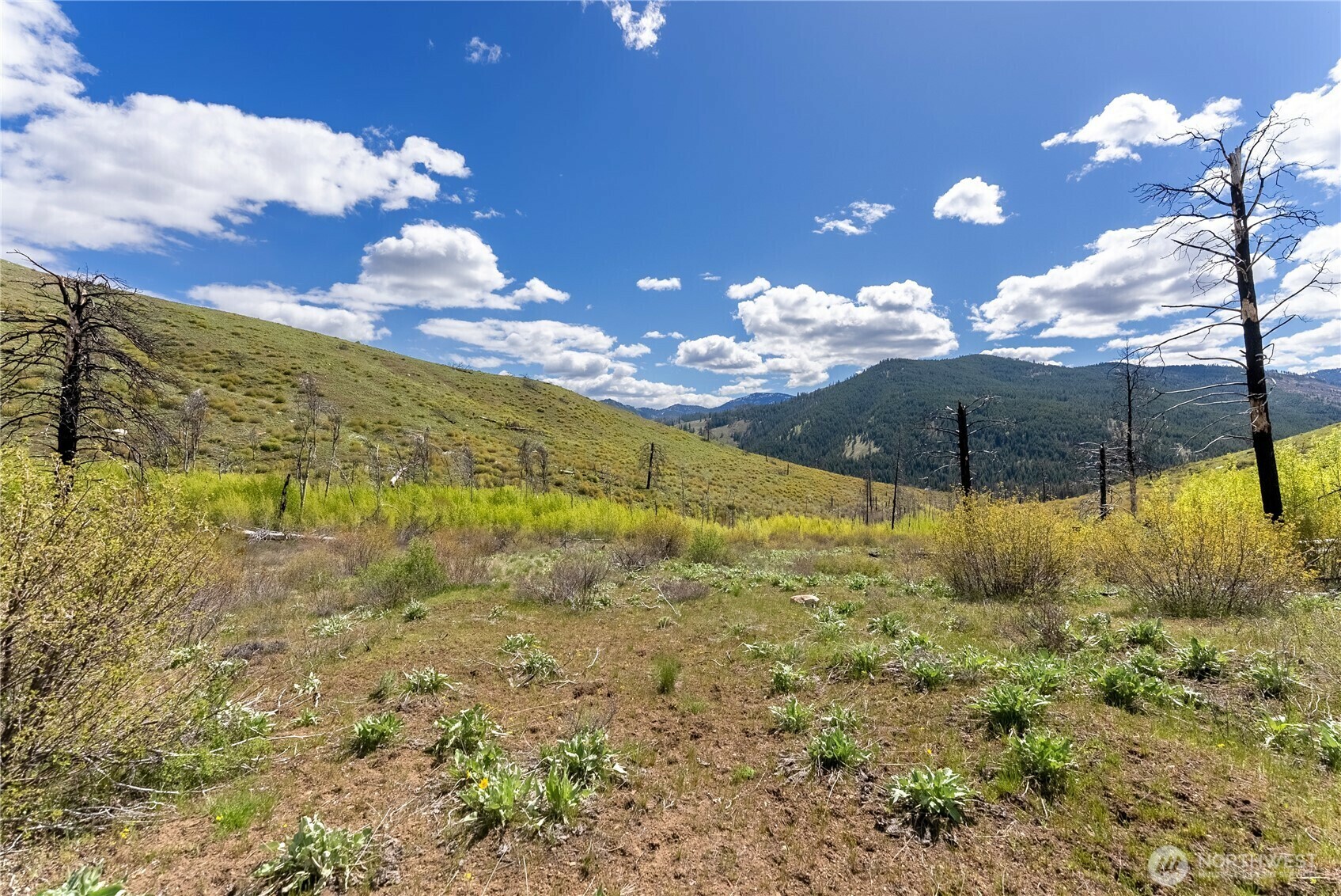 Property Photo: 8 Myers Creek Road WA 98856