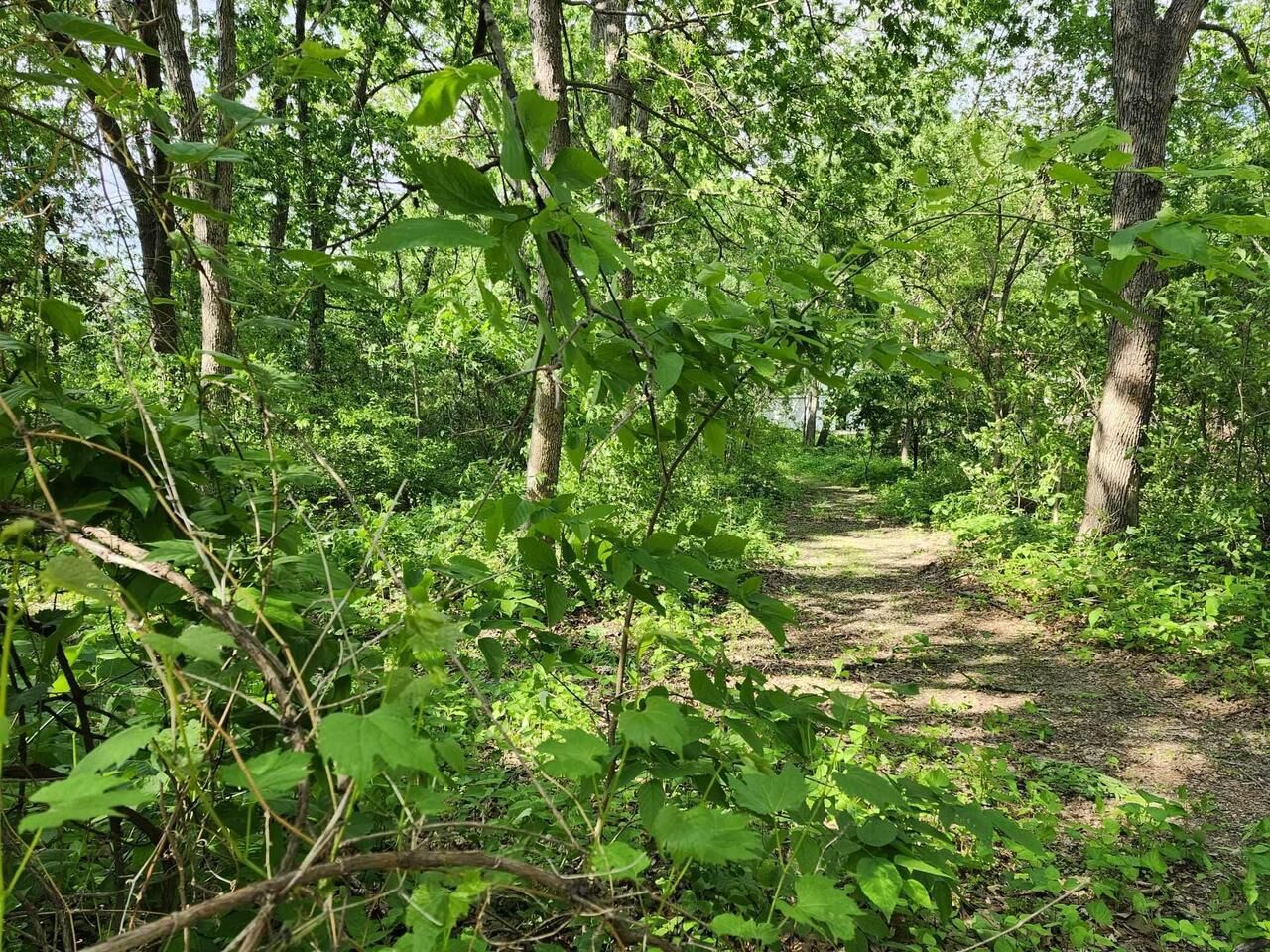 Property Photo:  Gingers Drive  WI 53573 