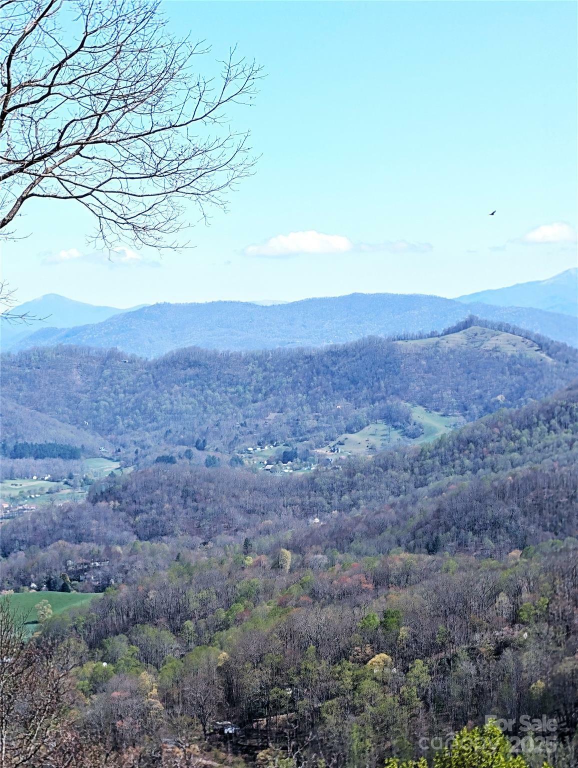 Property Photo: 40 Dorchester Road NC 28785