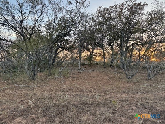 Property Photo:  Tbd Fm-1681  TX 78160 