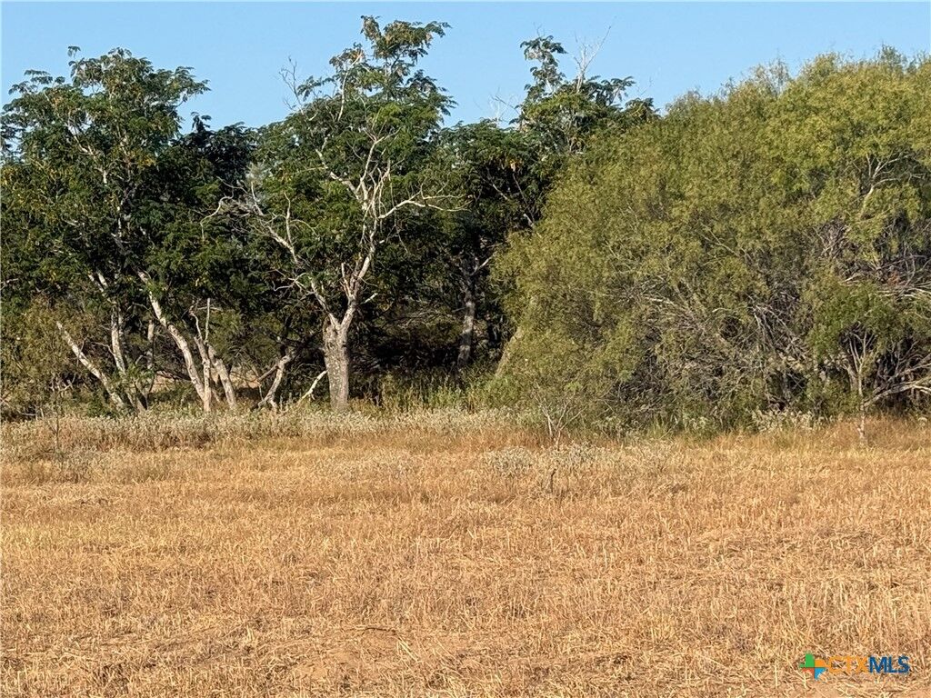 Property Photo:  Tbd Fm-1681  TX 78160 