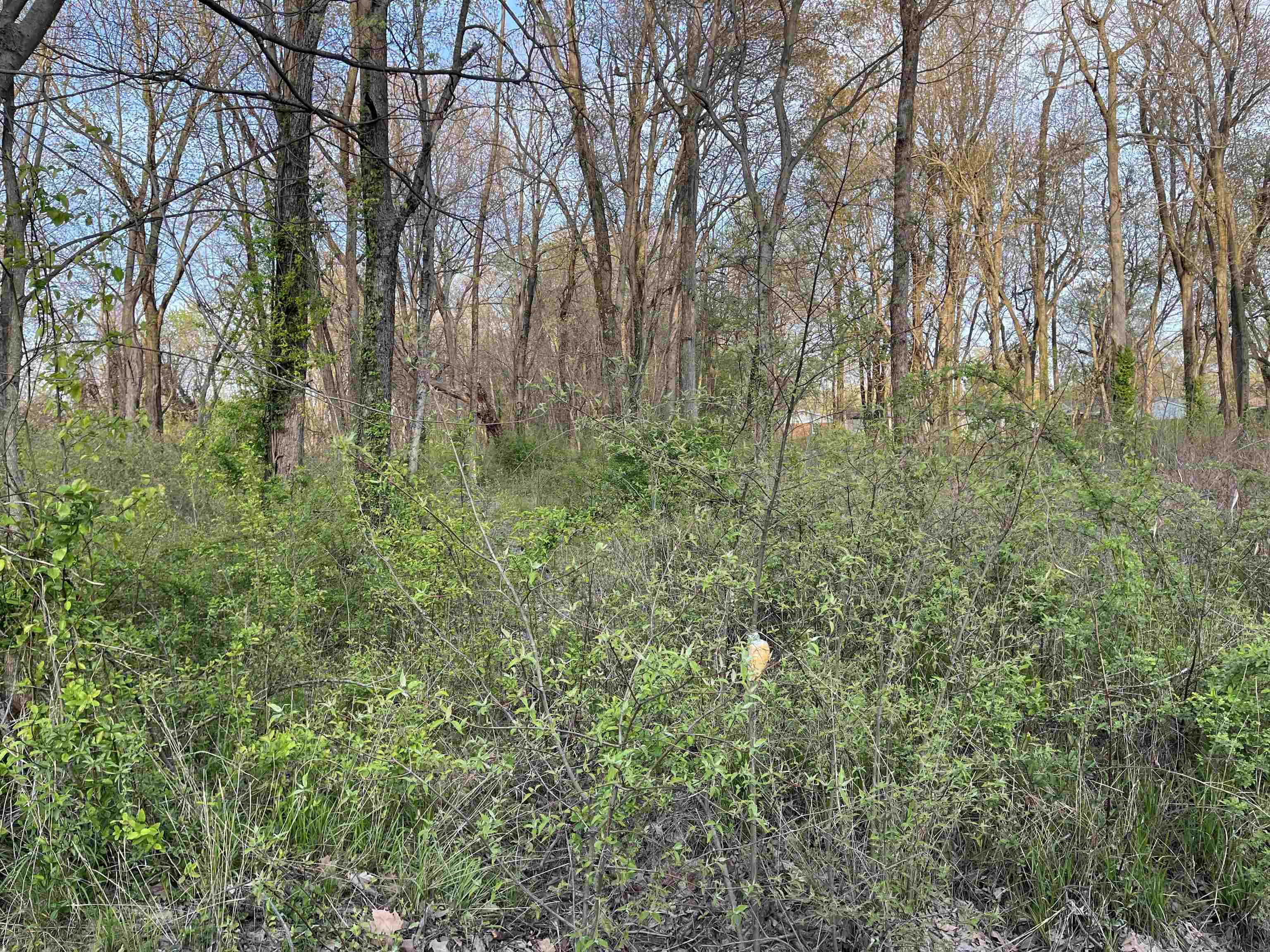 Property Photo: 1746 Burdette Ave. IN 47714