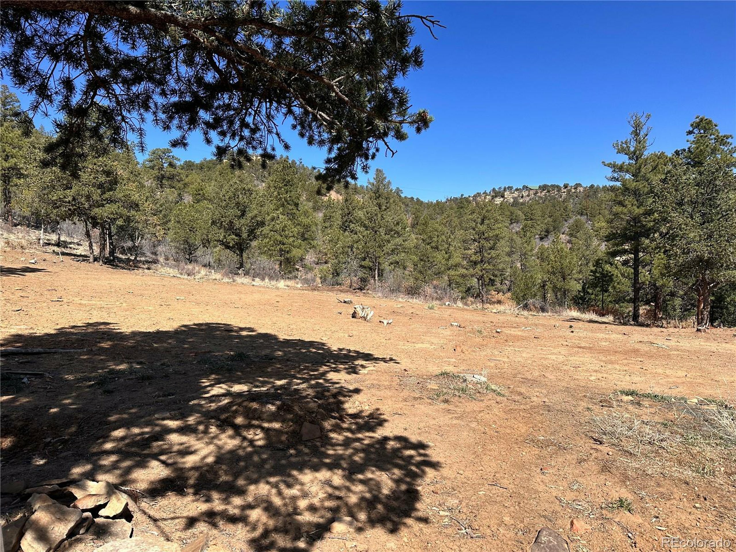 Property Photo: 0 Big Pine Ridge CO 81091