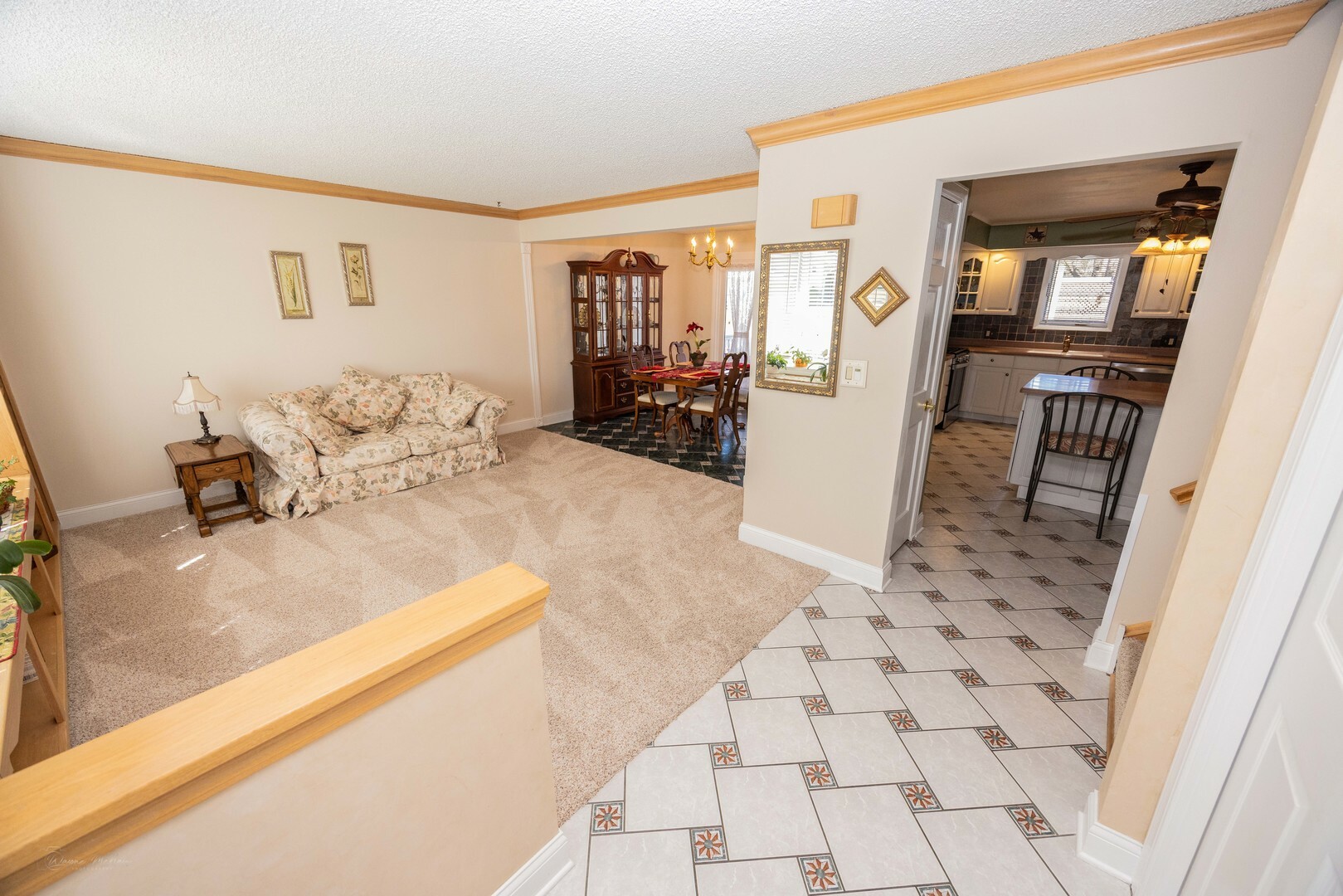 Property Photo: 506 Danny Drive IL 60404